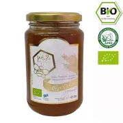 Organic Vanilla Fir Honey 450gr "FASSILIS", from the fir forests on mount Parnon